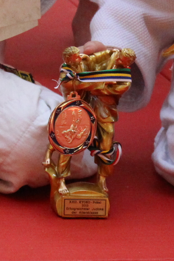 Kyoko Pokal 2013