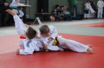 Saustark ins Jahr 2014