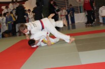20 Platzierungen
