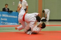 Spree Cup 2015