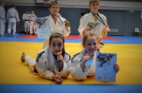 Hanse Cup 2014