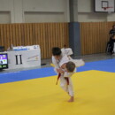 Gambrinius Pokal 2013