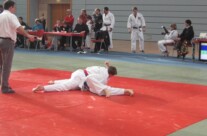 Sechs von Sieben möglichen Goldmedaillen