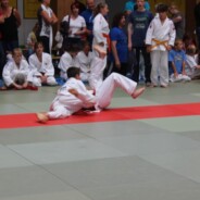 16 x Gold in Peitz