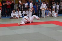 16 x Gold in Peitz