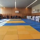 Zweimal Gold in Berlin erkämpft