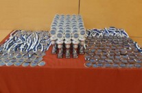 8. Juunigatsu Cup in Kleinmachnow