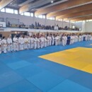 Drei Bezirksmeistertitel in Oranienburg erkämpft