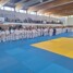 Drei Bezirksmeistertitel in Oranienburg erkämpft