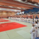 Spreewaldpokal in Lübben