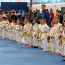 24 Starter in Brandenburg