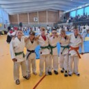 Nansei Cup in Steglitz