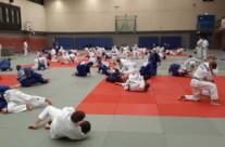 Judo Training