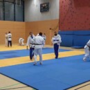 Judo in Aktion