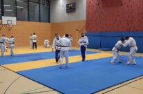 Judo in Aktion
