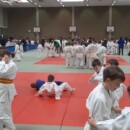 Judoka des RSV beim Mauritius-Cup