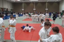 Judoka des RSV beim Mauritius-Cup