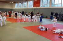11 Medaillen in Strausberg erkämpft
