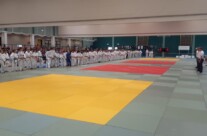 Pokal der Optik