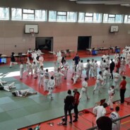Judoka des RSV holen 8 Goldmedaillen in Strausberg