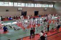 Judoka des RSV holen 8 Goldmedaillen in Strausberg