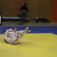 Crocodiles Cup 2015