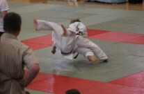 Nord Cup Berlin