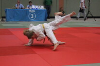 Spree Cup 2013