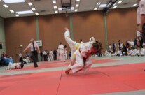 Spree Cup 2012